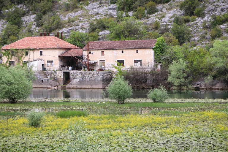 Kotor: Dagsutflykt och båtresa till Skadarsjön och BiogradFrom Herceg Novi