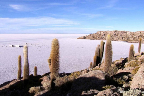 Au départ de Puno : circuit de 3 jours à La Paz, Uyuni et sur la route des Aymaras.Au départ de Puno : circuit de 3 jours à La Paz, Uyuni et sur la route de l'Aymara