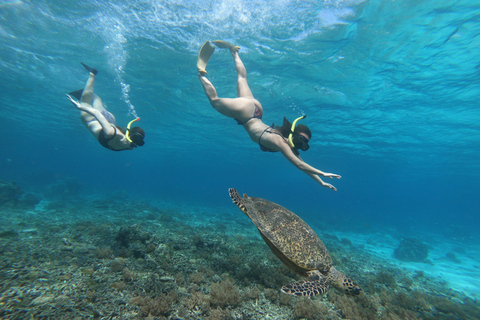 Excursão de um dia Gili Trawangan, Gili Meno, Gili Air (saída de Lombok)