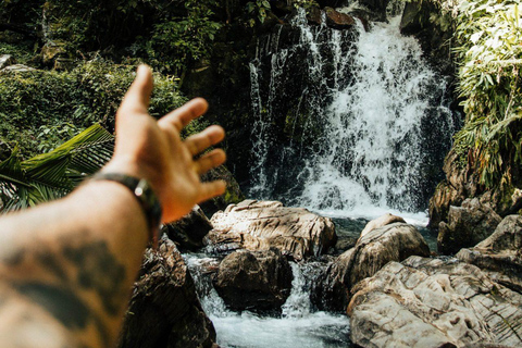 San Juan: El Yunque Rainforest Guided Hike with Swimming