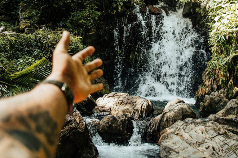 San Juan: El Yunque Rainforest Guided Hike with Swimming