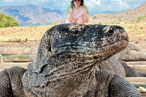 Labuan Bajo: Komodo National Park Private Speedboat Charter