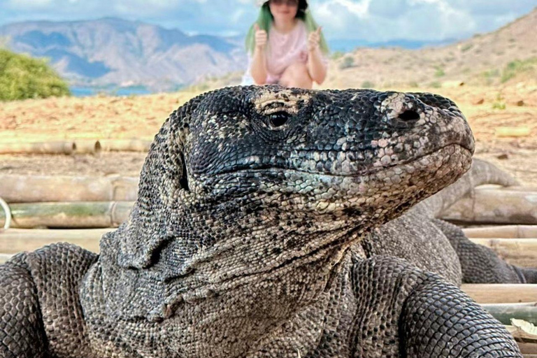 Labuan Bajo: Komodo National Park Private Speedboat Charter