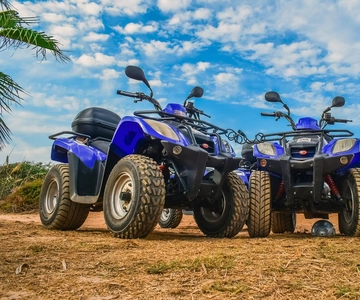 Quad Biking and Wildlife Tour with Lunch Buffet