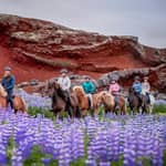 Reykjavík: tour a cavallo sul vulcano per piccoli gruppi con servizio navetta