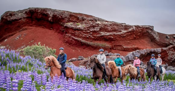 Reykjavik: Small-Group Horse Volcano Riding Tour with Pickup