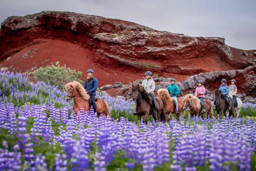 Reykjavik: Vulkanausritt in Kleingruppen mit Abholung. Foto: GetYourGuide