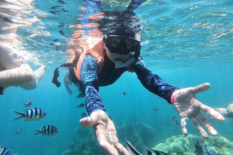 Ang Thong Full-Day Cruise with Sunset by The Red Baron Boat