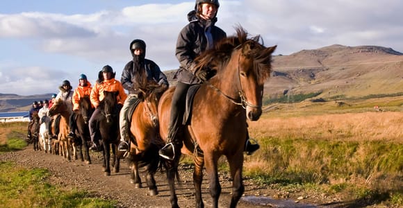 Hveragerdi: The Siggi Horse Riding Tour