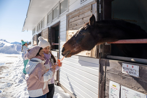 From Nagoya: Snow Day in the Japan Alps & Shirakawago Nagoya (tour + rental snow wear)