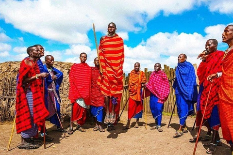 Cratère du Ngorongoro : Visite guidée du village Maasai Boma