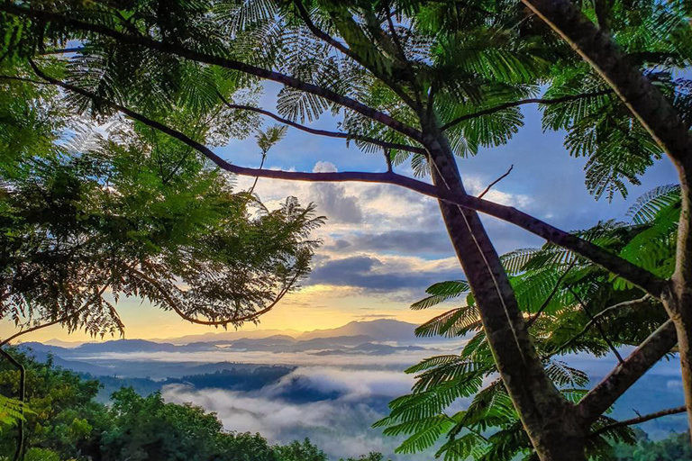 Desde Khao Lak Khao Khai Nui Salida del Sol en 4x4 con Desayuno