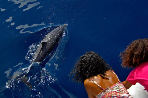 Enjoy a magical cruise on the incredible French Riviera! A magical cruise on the incredible French Riviera! Lérins Islands / Cannes