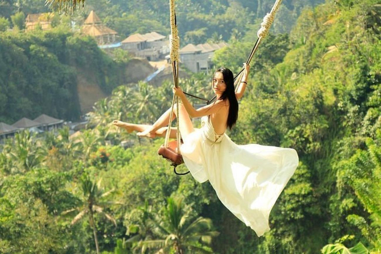 Floresta de macacos de Ubud, templo, terraço de arroz e balanço na selvaPasseio em Ubud - Tudo incluído