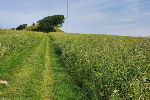 Copenhagen: Vejrhøj Arch Hike with Wine Tasting &amp; Lunch