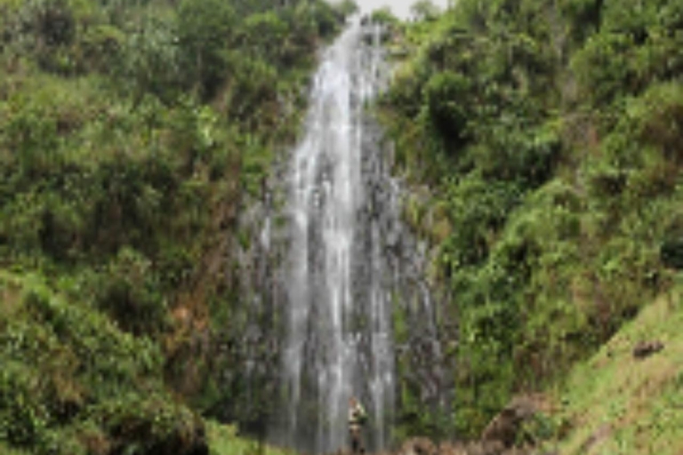 Wodospady Materuni i wycieczka kawowa