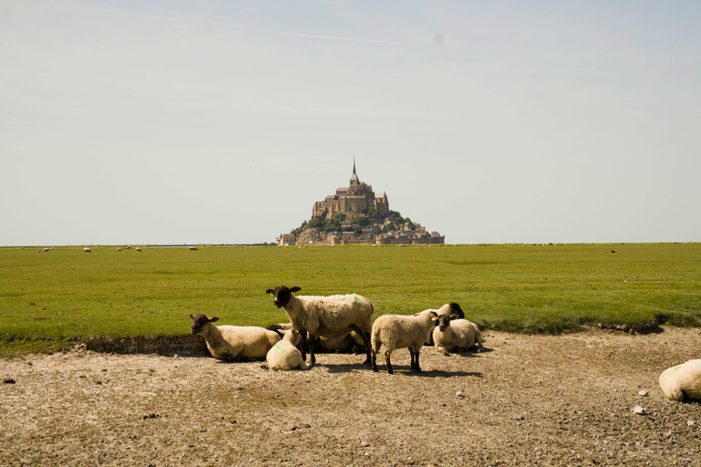 Normandy: D-Day Beaches & Mont Saint-Michel Day Trip d day + msm from rouen