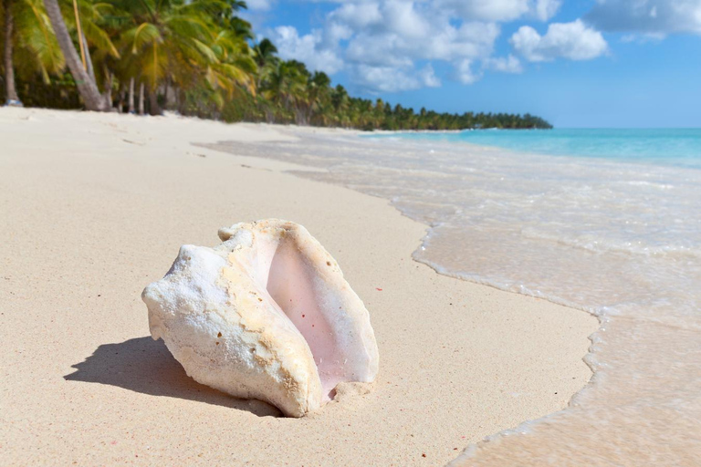 Bayahibe: Saona Island VIP Tour with Lunch & Drinks