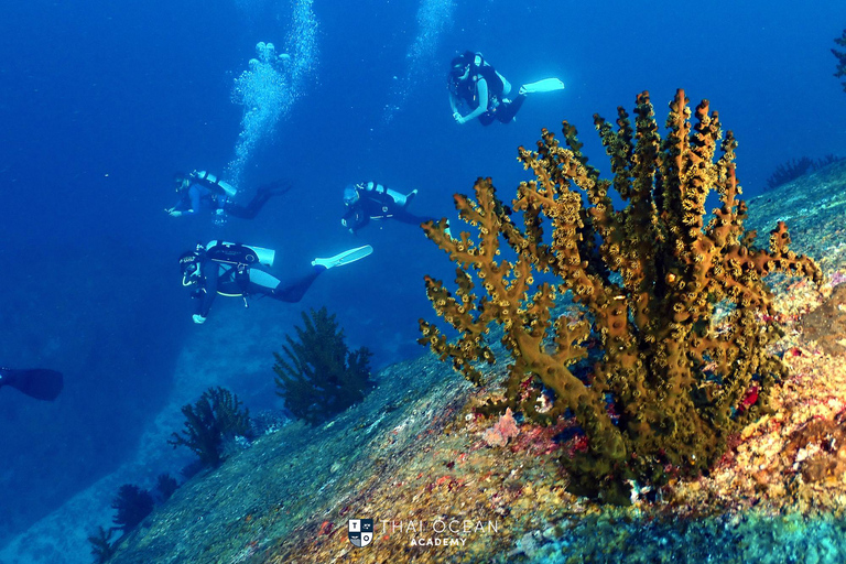 Pattaya: Fun Dive 2 Ocean Dives and Lunch (Certified Diver)