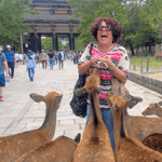 Kyoto: tour in autobus di Nara e degustazione di matcha