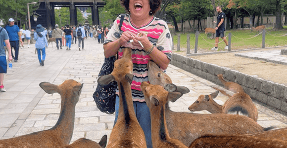 Kyoto: Nara & Traditional Matcha Experience Bus Tour