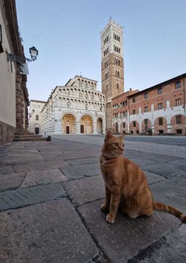 Lucca: wandeltour over de verhalen & legendes van de stad!