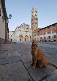 Lucca: Rundgang zu den Geschichten & Legenden der Stadt!
