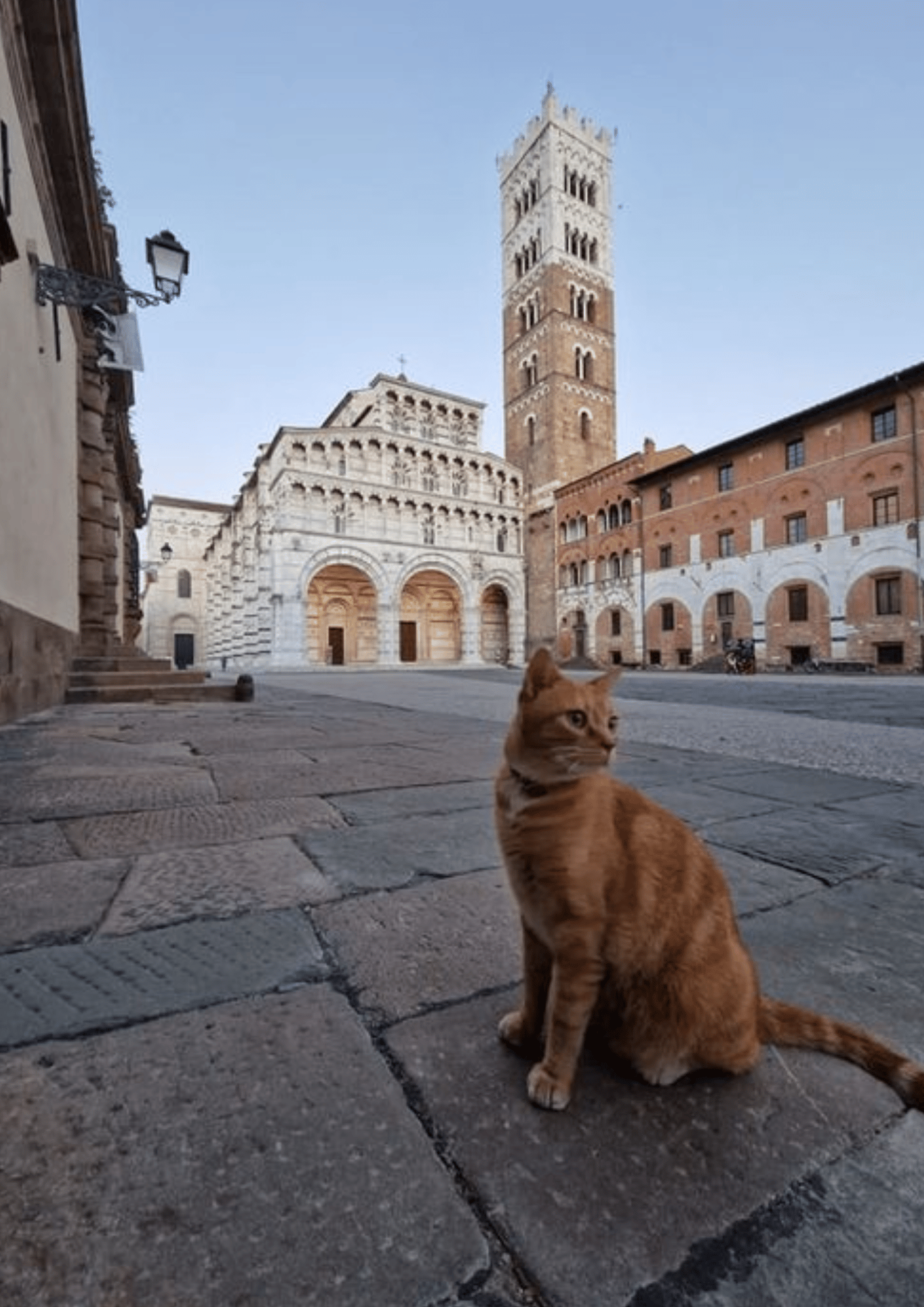 Lucca: Tour durch Geschichte, Kunst und Legenden! (2-stündige Tour)