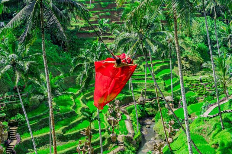 Bali/Ubud: Zipline 2-ways with combo Alas Harum Tour Zipline with Riceterrace Alas Harum Tour meet at venue