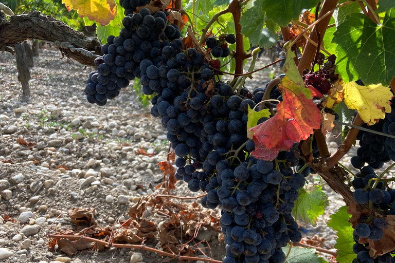 Burdeos: Pueblo de Saint Emilion con Chateaus y Cata de Vinos