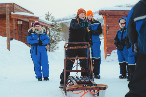 From Tromsø: Advanced Dog Sledding Tour at Camp Tamok Advanced Dog Sledding Tour: Midday Departure