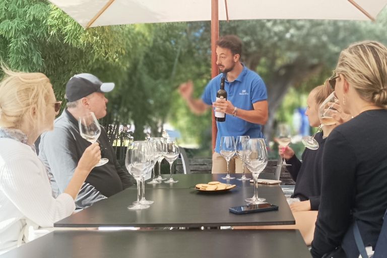 From Sesimbra: Full-Day Arrábida Culture & Wine Tasting Tour
