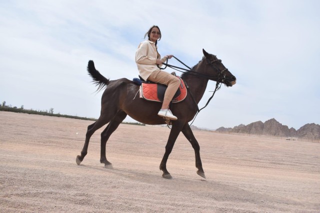Visit Sharm El Sheikh Exciting 1 Hour Horseback Riding Adventure in Sharm El Sheikh