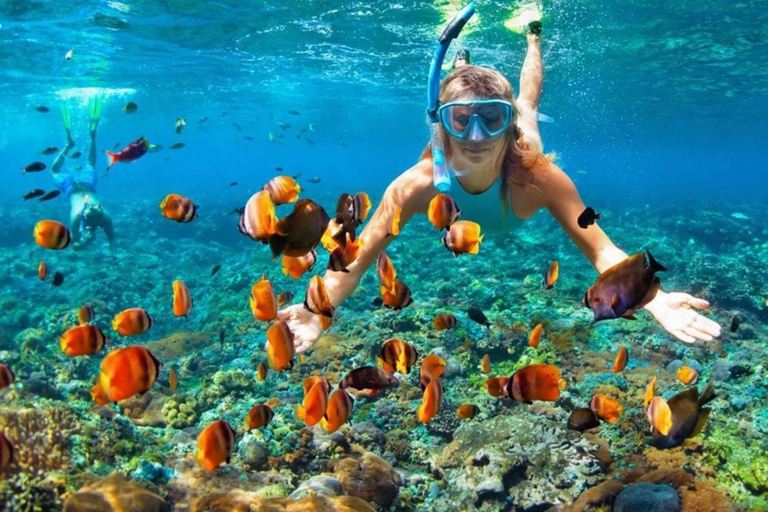 Sharm El Sheikh: Ras Mohamed Snorkeling & Diving Boat Trip Ras Mohamed & White Island – Snorkeling Package