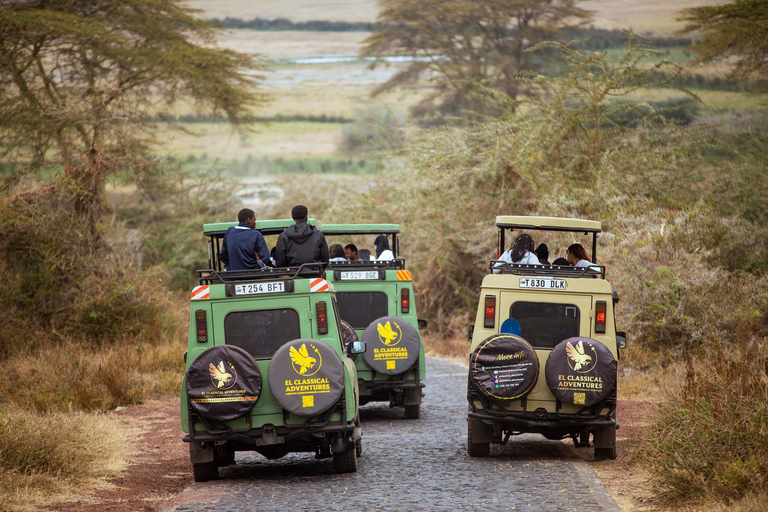 Arusha: 4-Day Mid-Range Safari to Tarangire and Ngorongoro