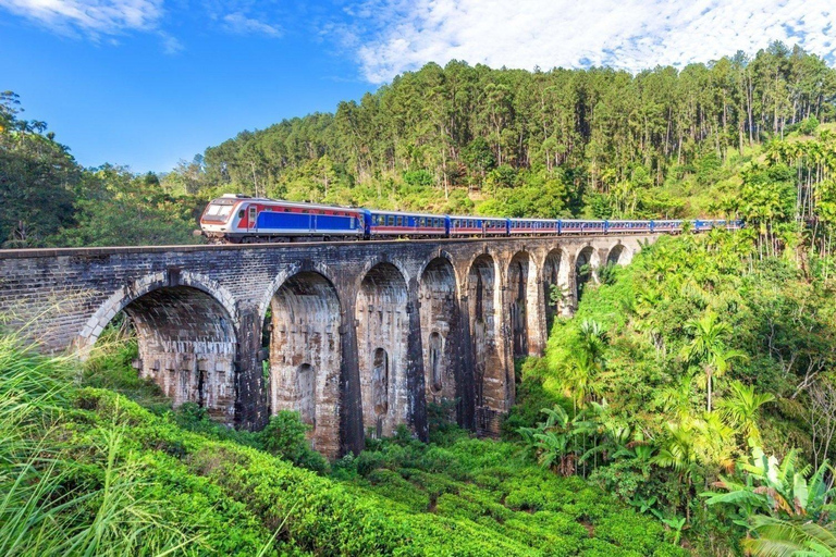 Sri Lanka: 15-daagse rondreis met vakantietijd