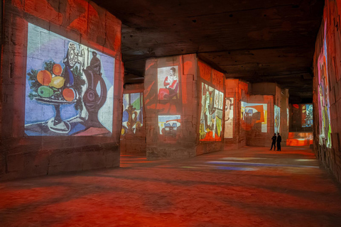 Les Baux-de-Provence: Carrières des Lumières Picasso-Frida Kahlo ticket