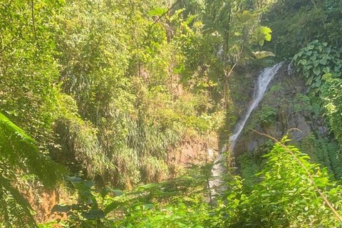 St. Vincent: Dark View Falls Tour