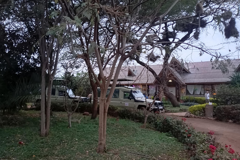 From Nairobi: Lake Nakuru & Naivasha National Park Day Tour Lake Nakuru & Naivasha