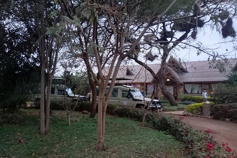 From Nairobi: Lake Nakuru & Naivasha National Park Day Tour Lake Nakuru & Naivasha