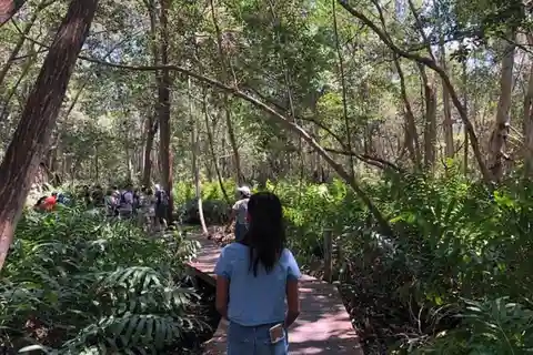 Mérida : Visite de Celestún