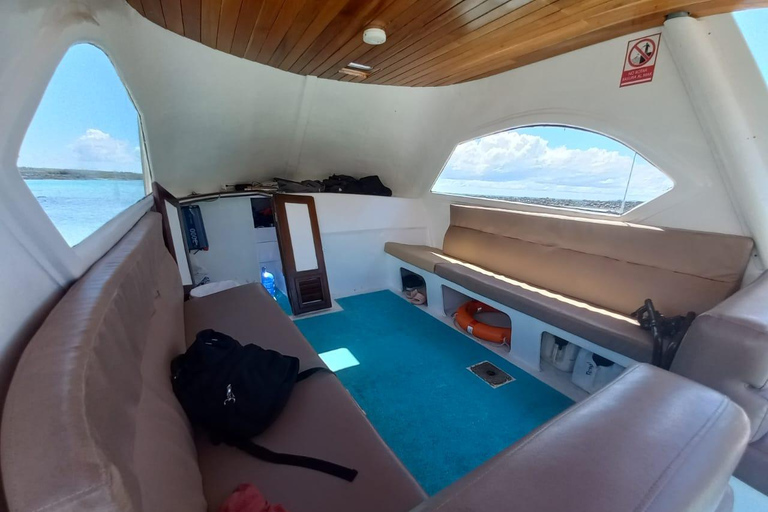 Tour privato in barca delle Galapagos Pinzonyacht privato