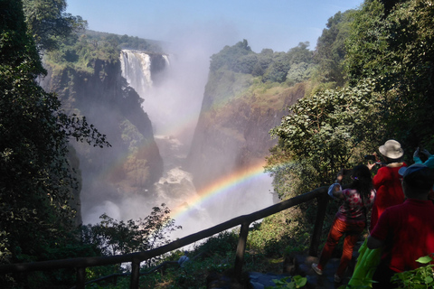 Guided Tour of the Victoria Falls