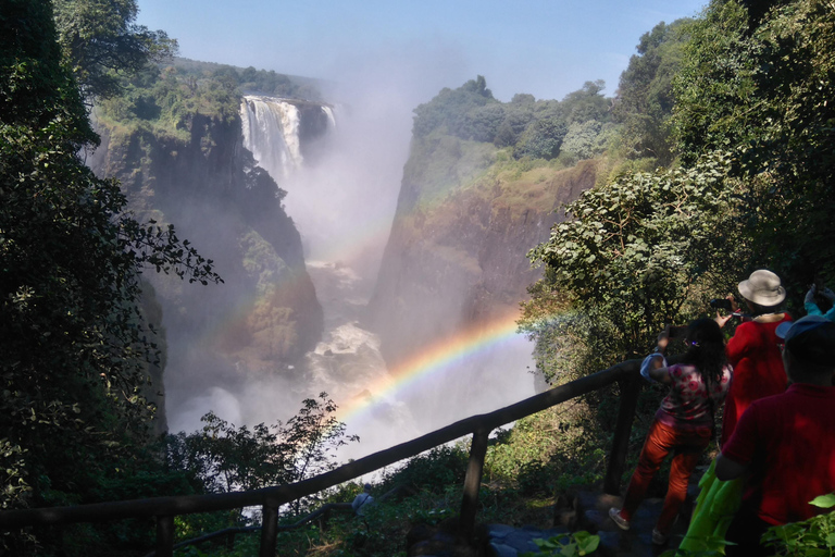 Guided Tour of the Victoria Falls