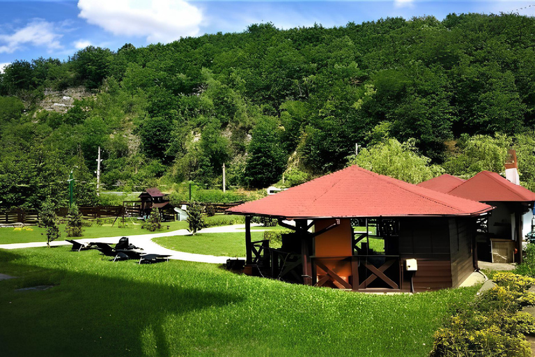 FÉRIAS TRANQUILAS NA VALEA VÂLSANULUI-BRĂDET