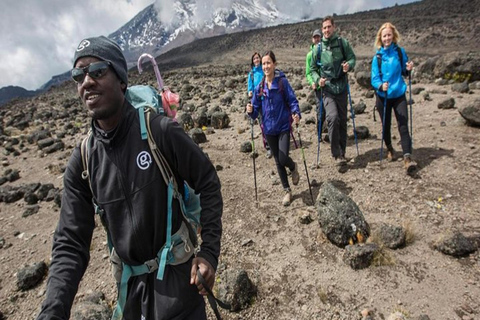 6 Days Mount Kenya Climbing through Chogoria Route