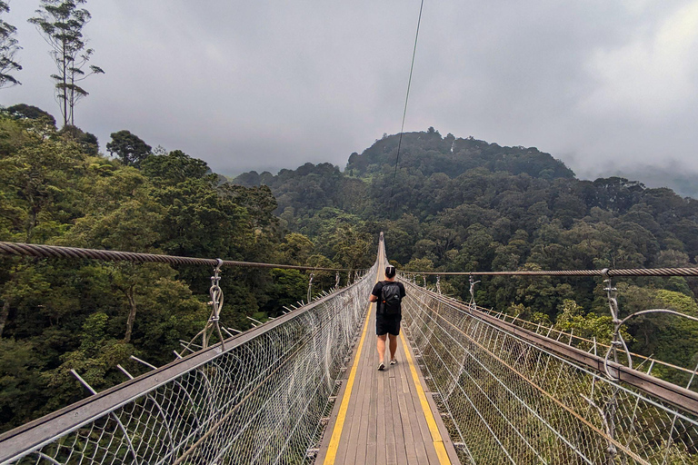 Bandung: White Crater, Scenic Tea Plantations & Hot Spring Open Tour: White Crater & Surroundings areas. with Tickets