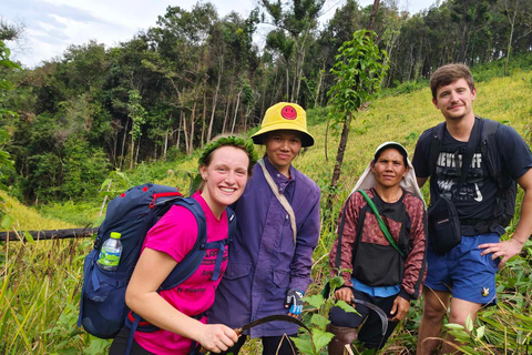 Chiang Mai: jungletocht, olifanten en verblijf in een bergstamdorpChiang Mai: tweedaagse jungletocht met verblijf in de bergstam