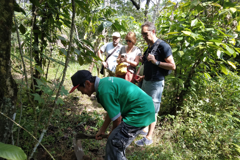 Yogyakarta Countryside Walking Tour and Prambanan Temple