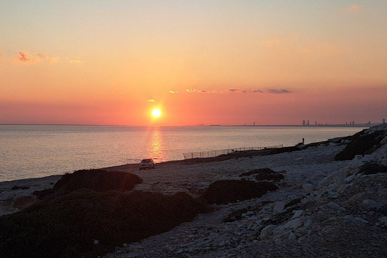 帕福斯半日游（免费品酒）- 最多7人 - 全程空调帕福斯半日游（免费品酒，最多 7 人，全程空调）